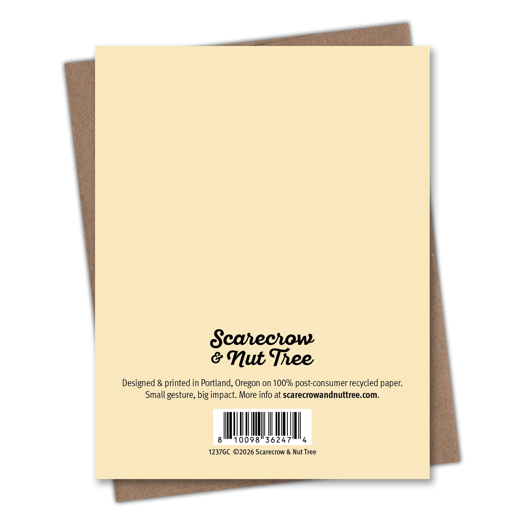 Ride On Horse - Recycled Birthday Card for Equestrians